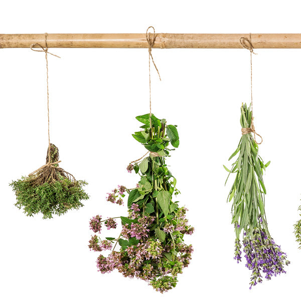 Blüten, Kräuter, Pflanzenpulver & Harze