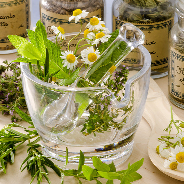 Frische Raumluft mit Hydrolaten & ätherischen Ölen