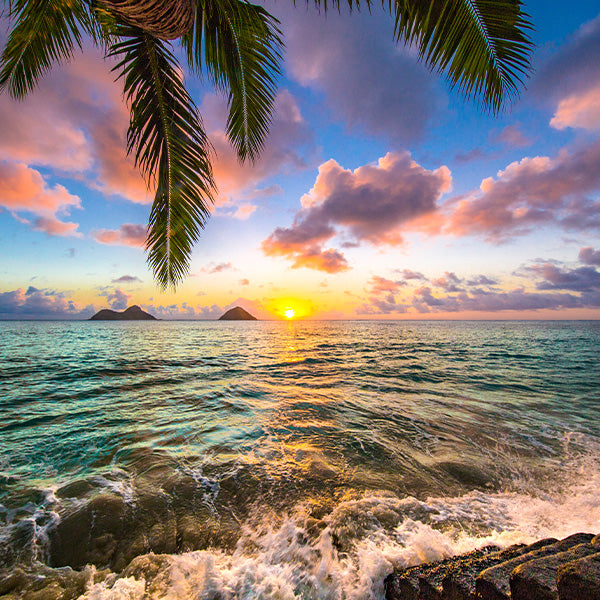 Tropische Mischung "Hawaii"