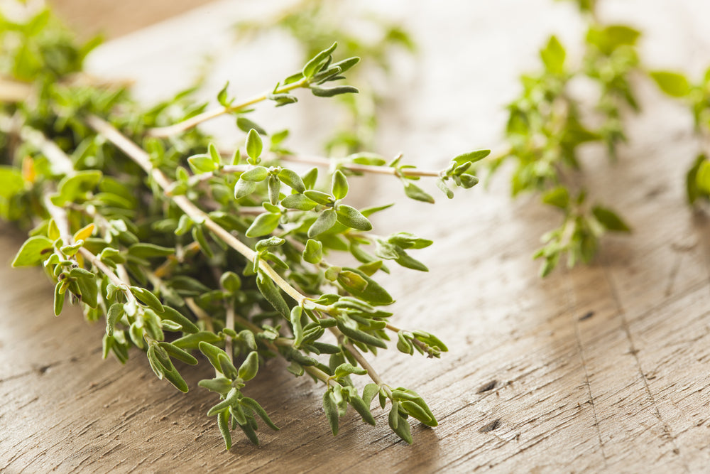 Thyme Powder
