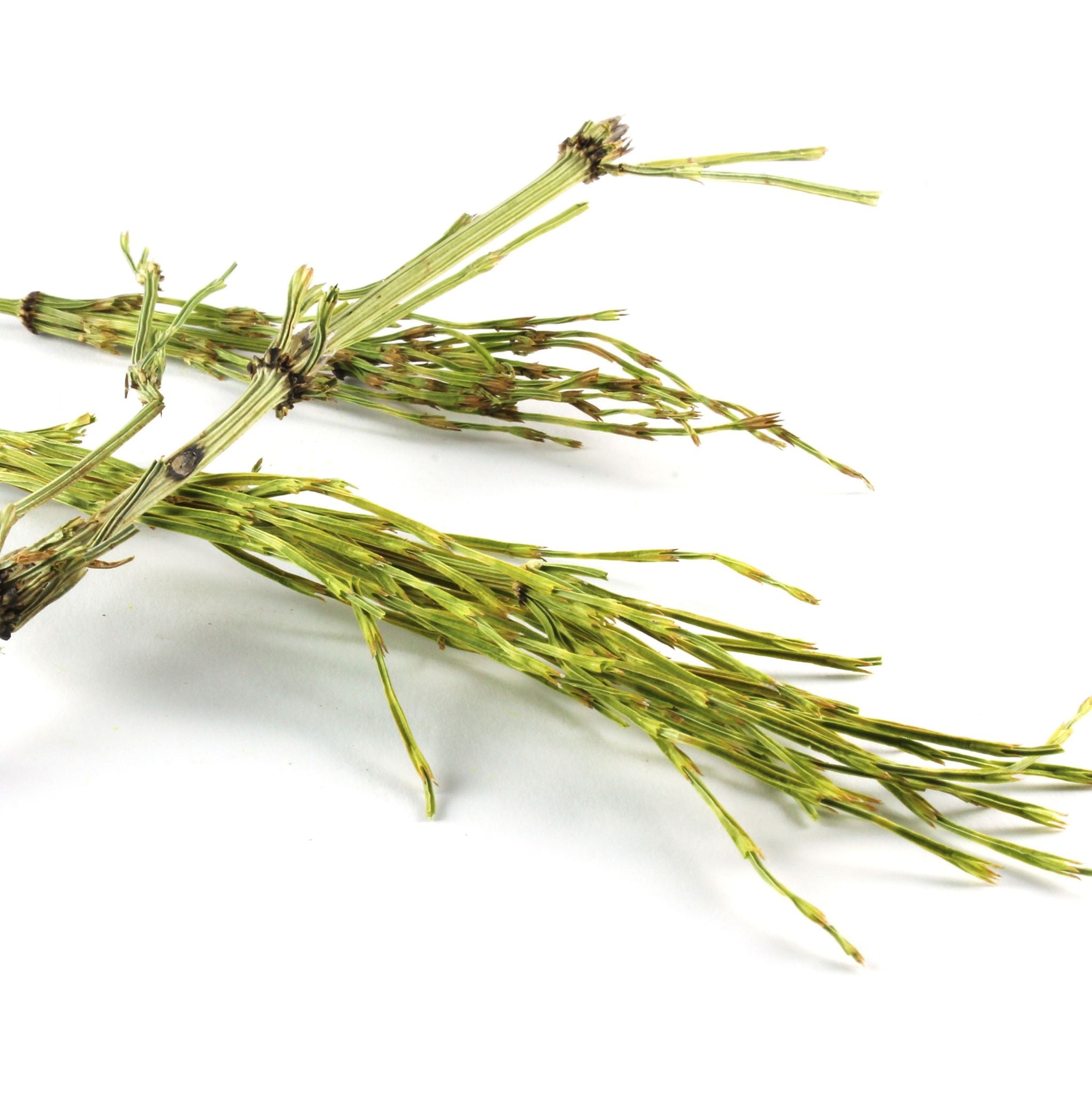 Ackerschachtelhalm Pulver 50 g