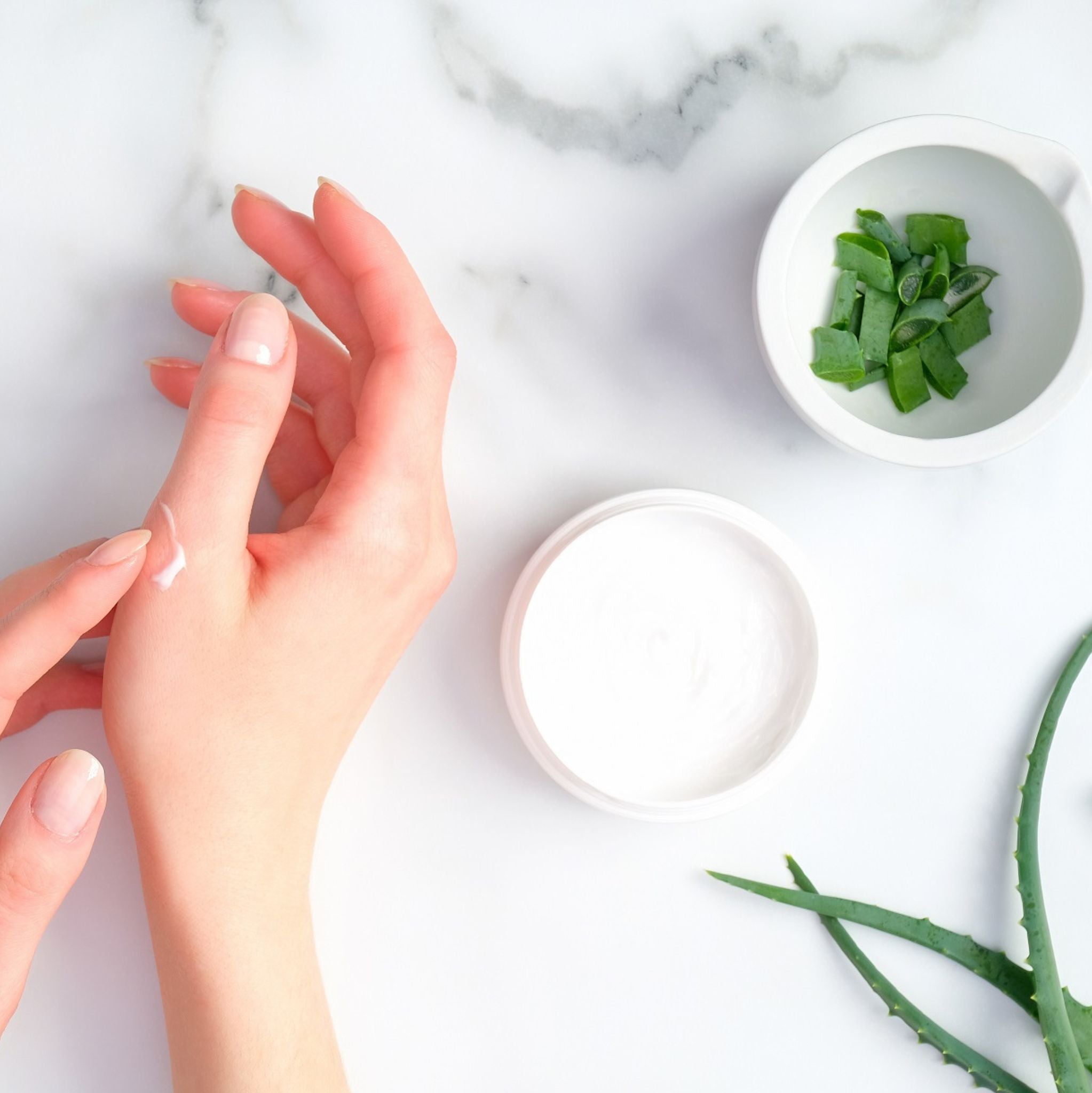 Aloe Vera 10-fach