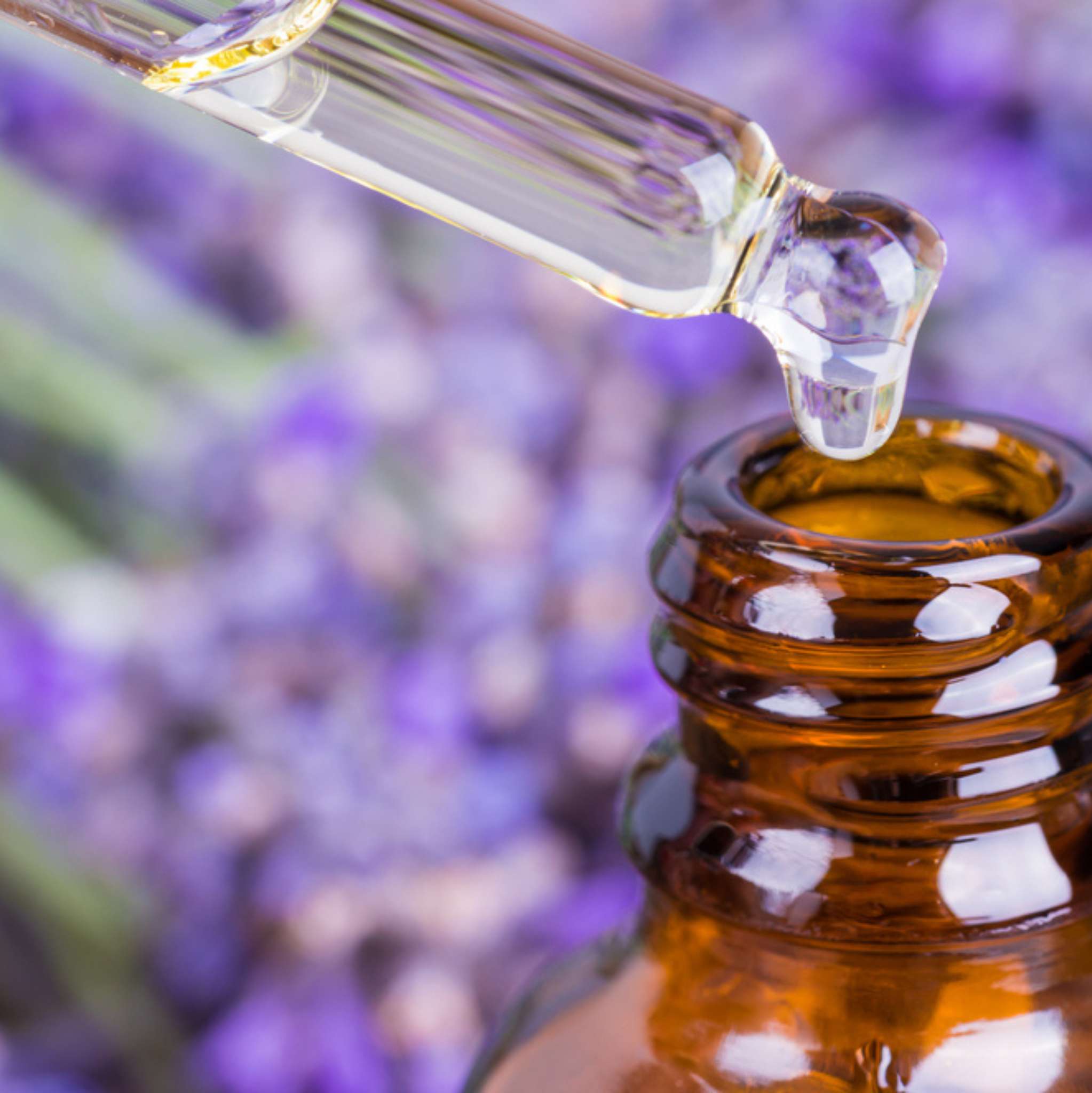 Tansy Blue Essential Oil Dilution