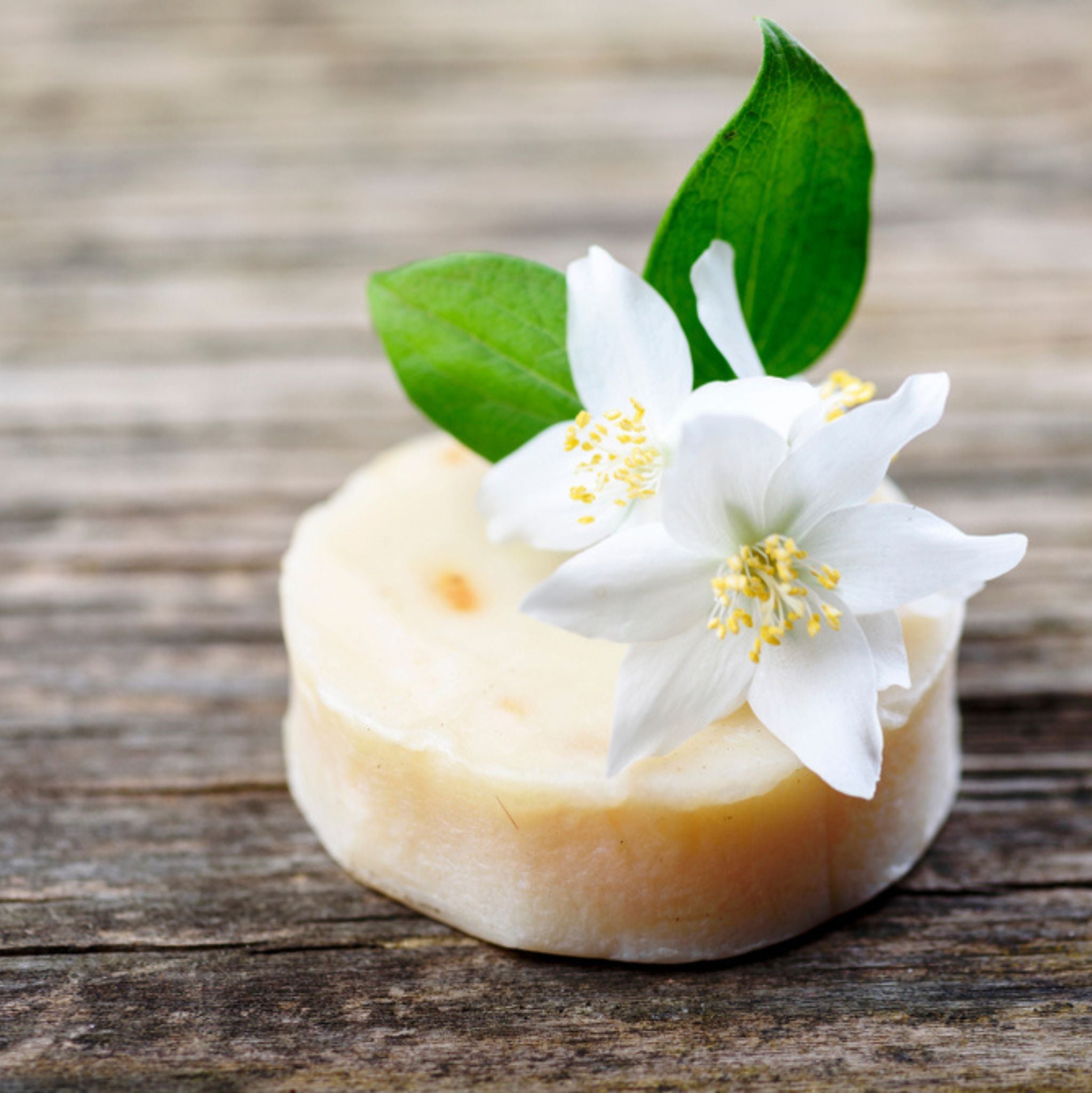 Jasmine Sambac Absolute Oil Dilution