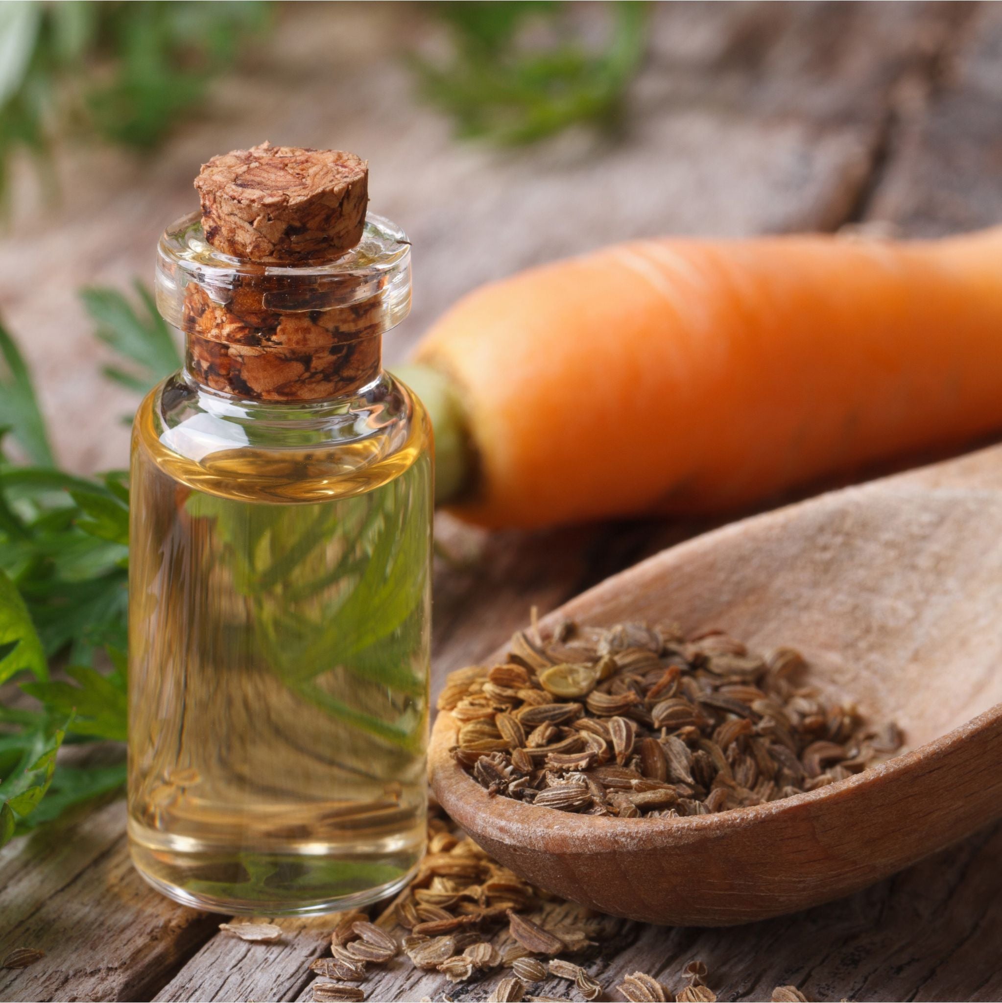 Carrot Infused - Herbal Extracts