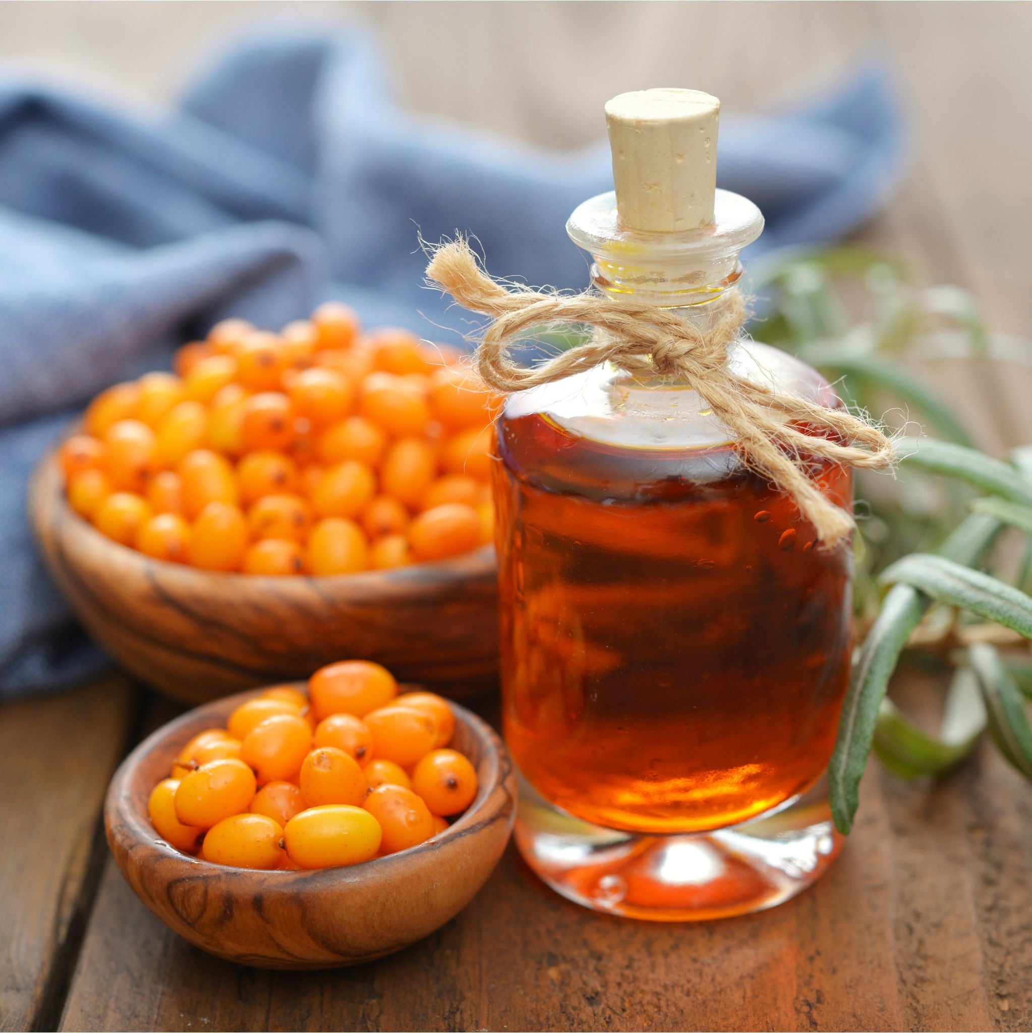 Sea Buckthorn Oil Organic cold pressed