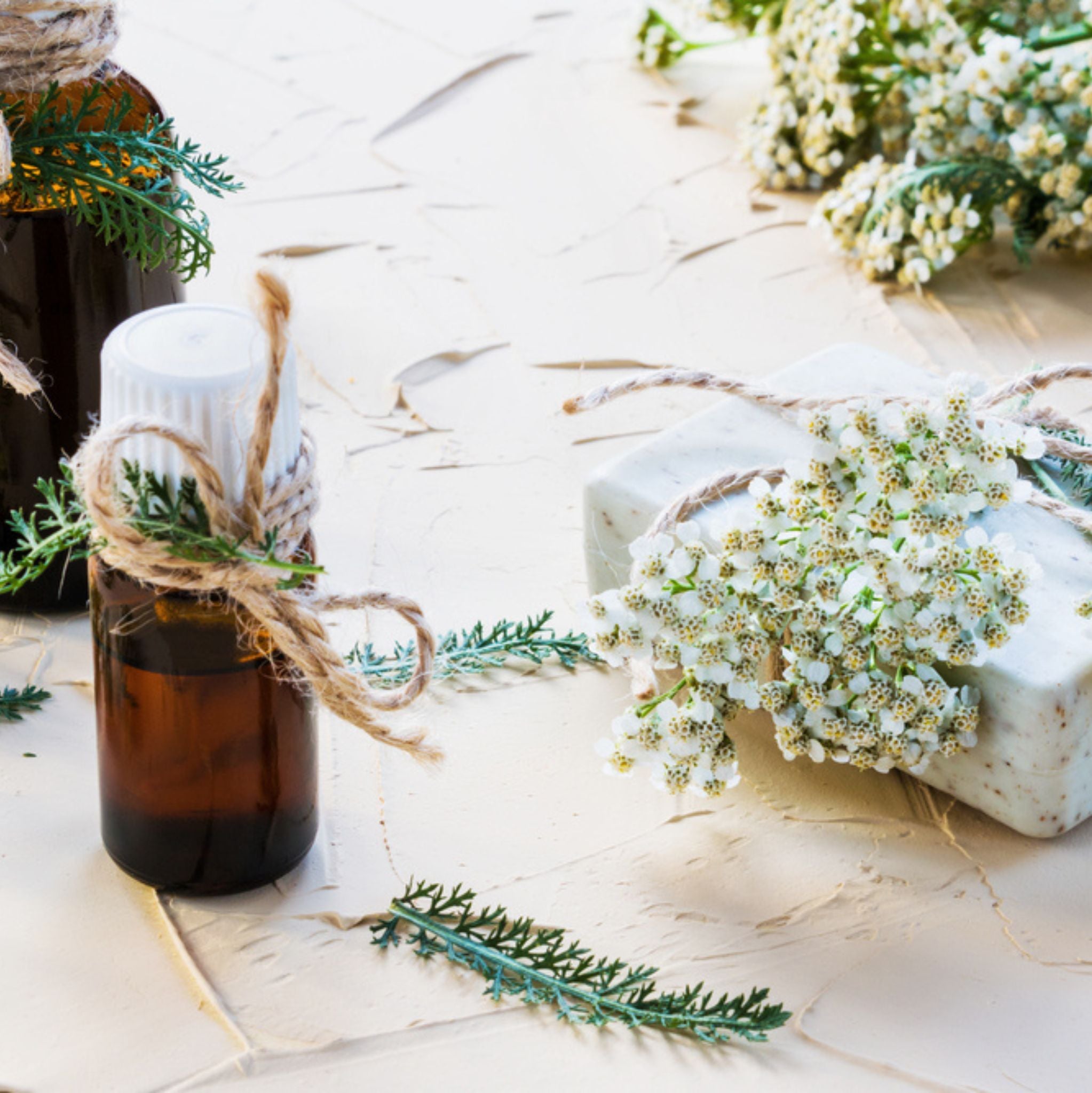 Schafgarbe Blau 5 ml, ätherisches Öl