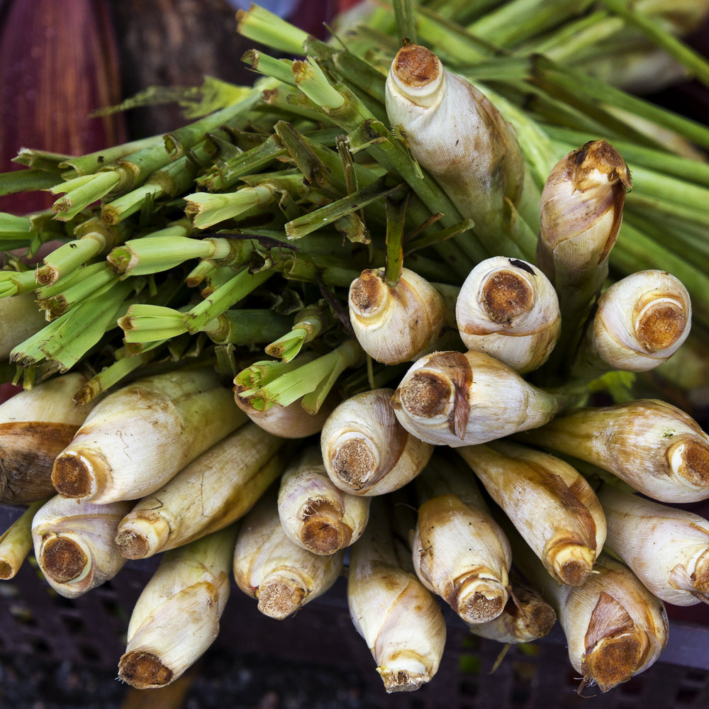 Citronella Essential Oil