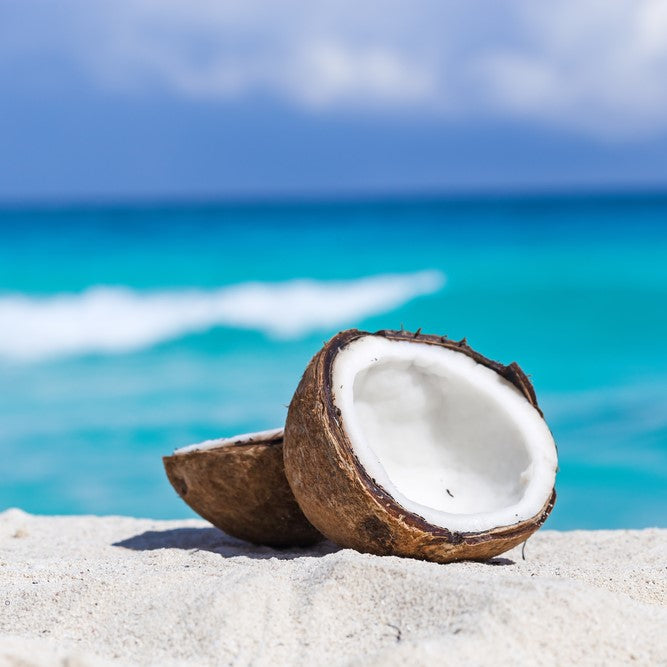 Coconut kosmetisches Duftöl