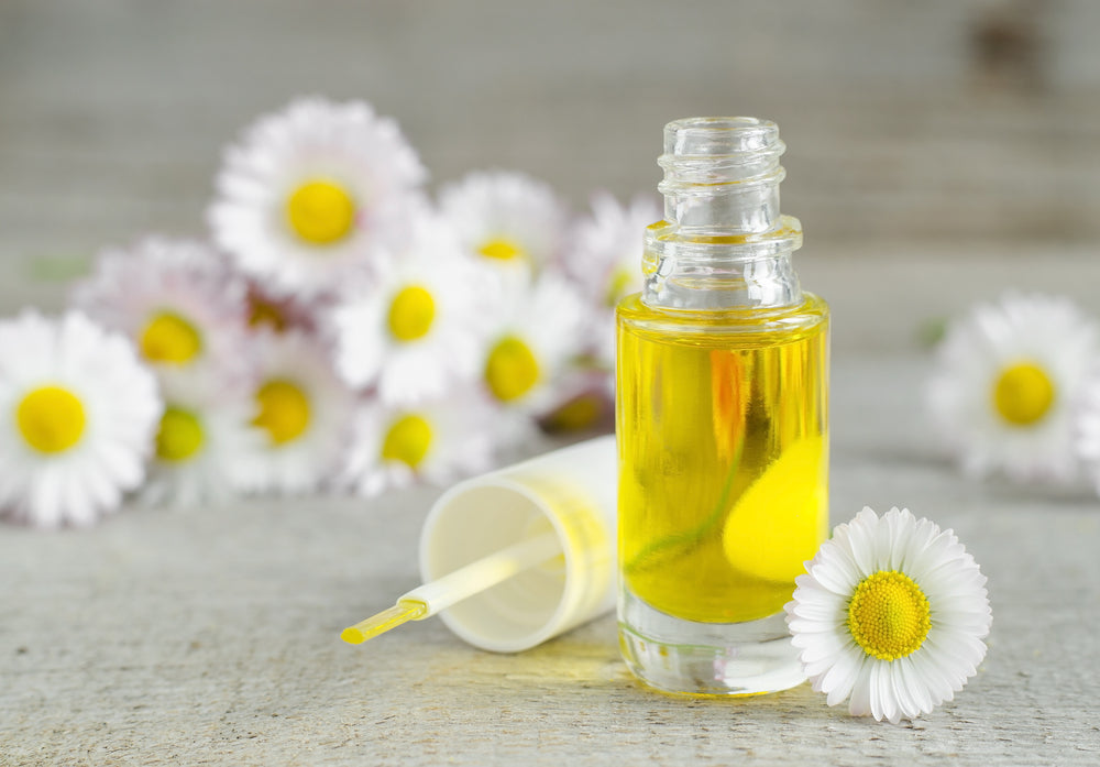 Chamomile Roman Essential Oil Dilution