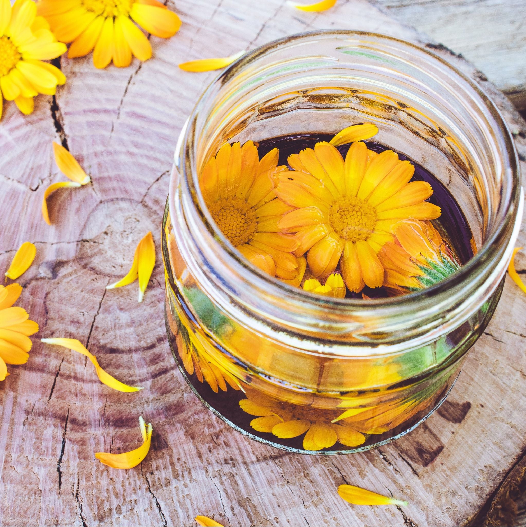 Ringelblumen Extrakt