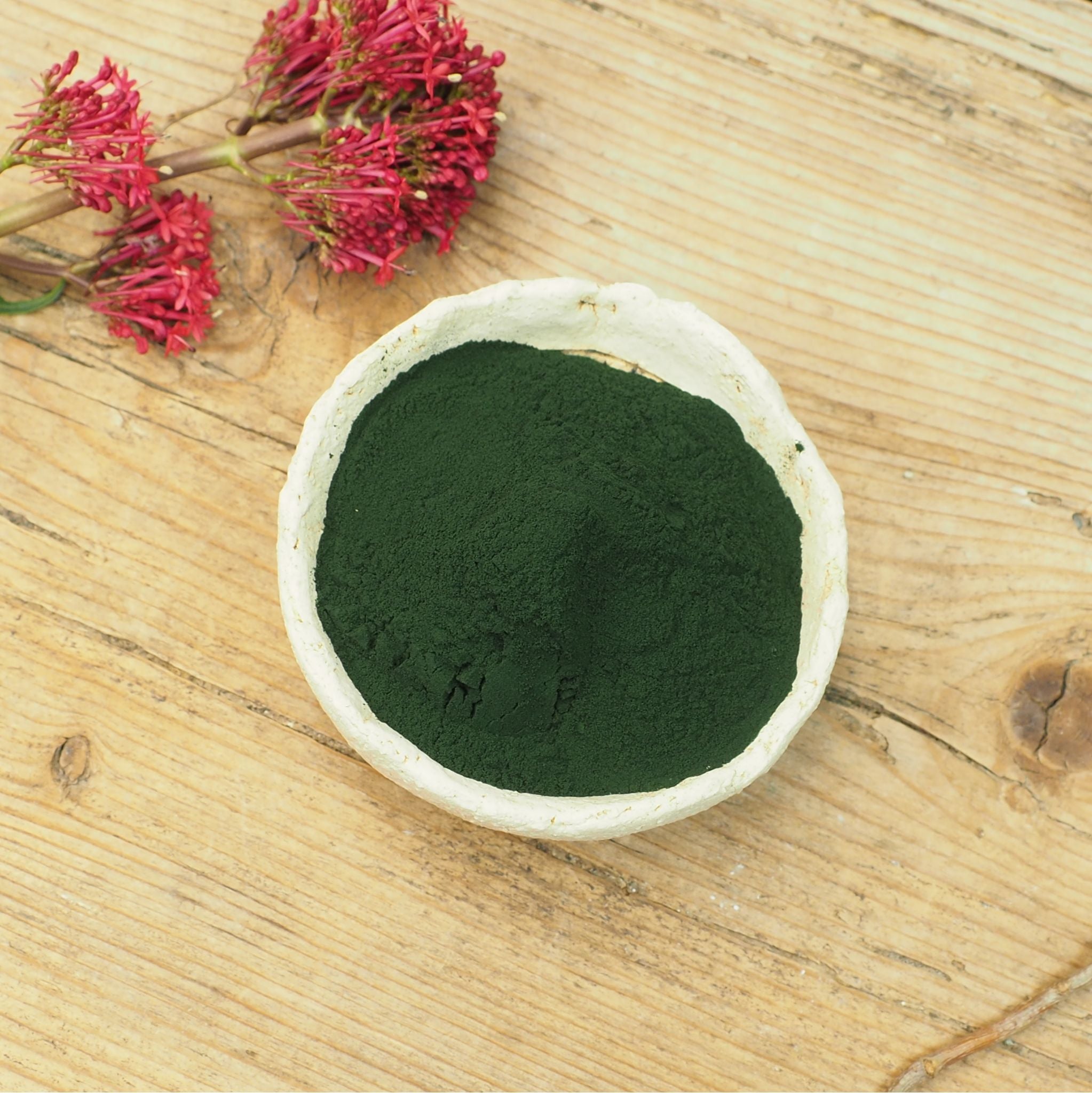 Spirulina Pulver