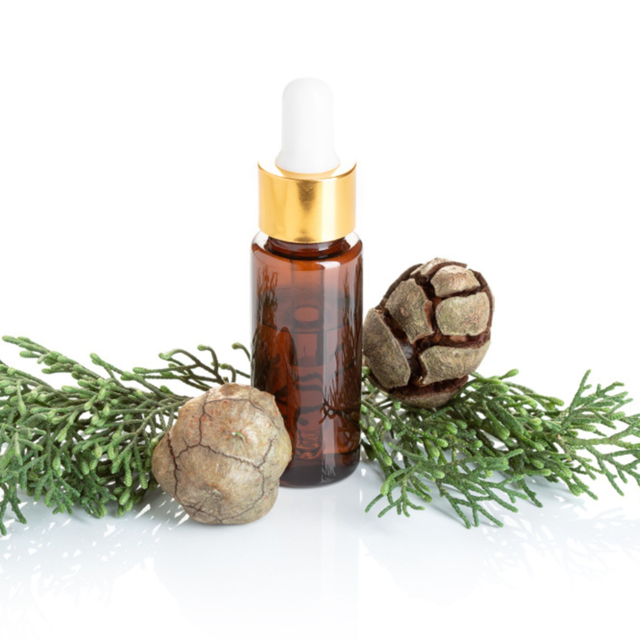 Zypresse 10 ml, ätherisches Öl